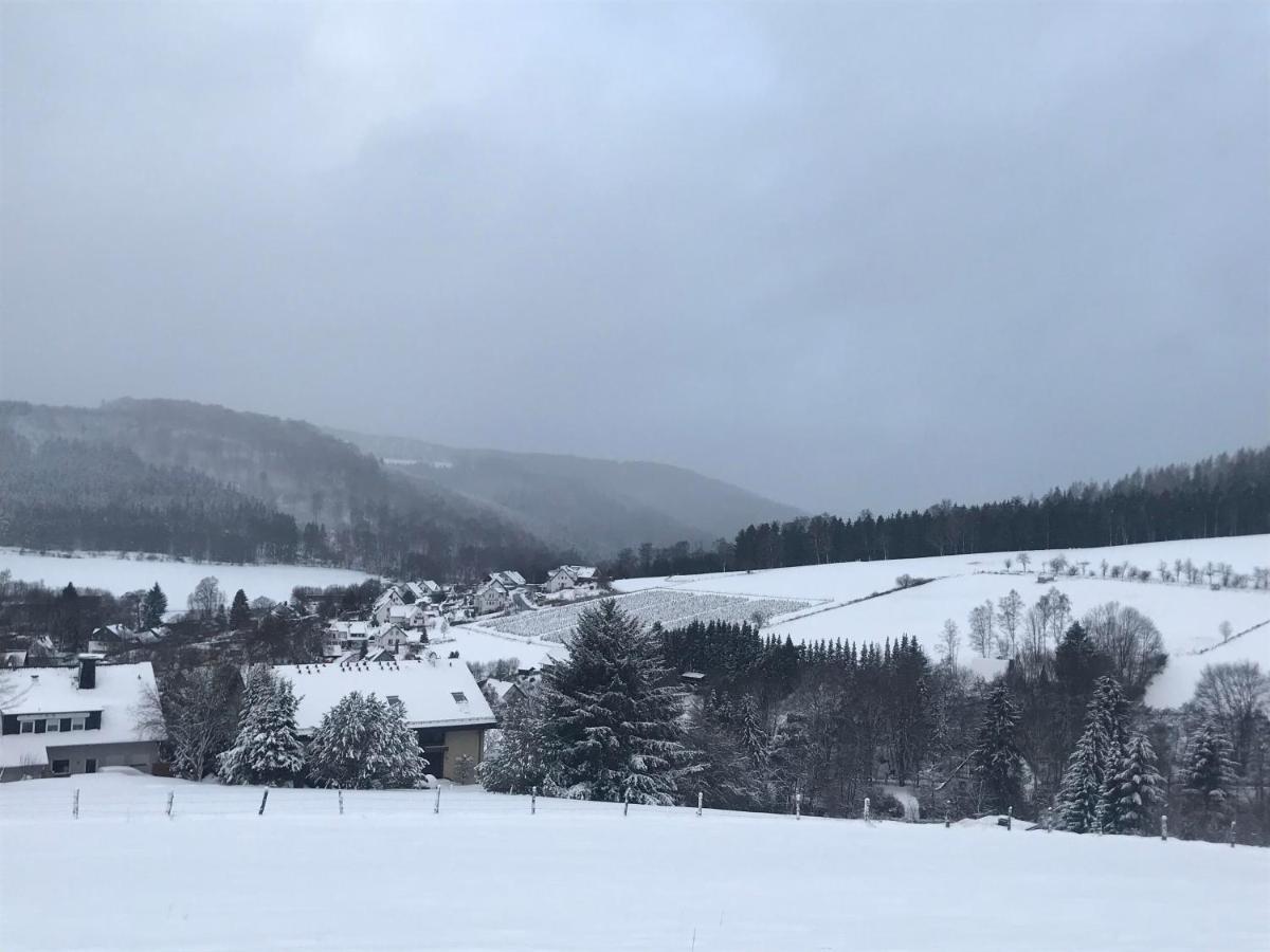 Appartement Familie Willems Winterberg 3 Екстер'єр фото