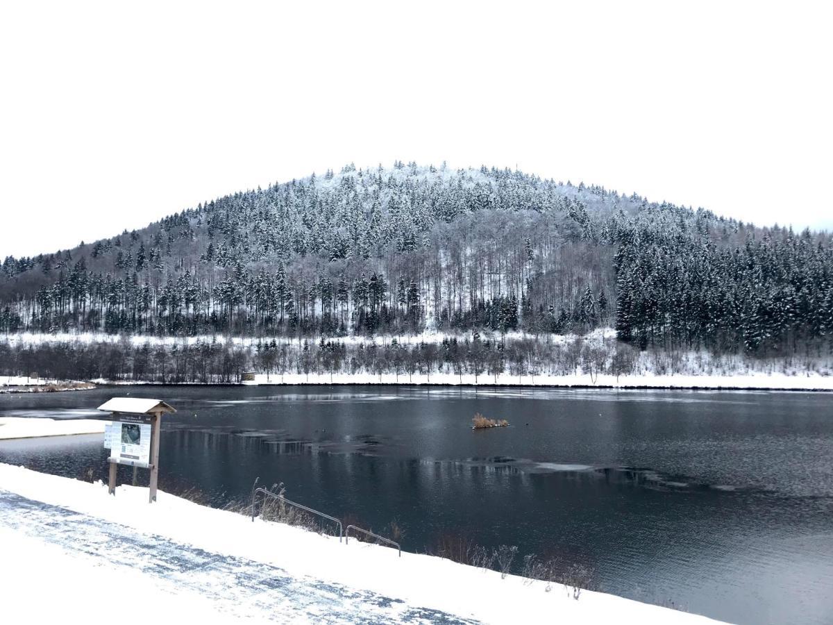 Appartement Familie Willems Winterberg 3 Екстер'єр фото