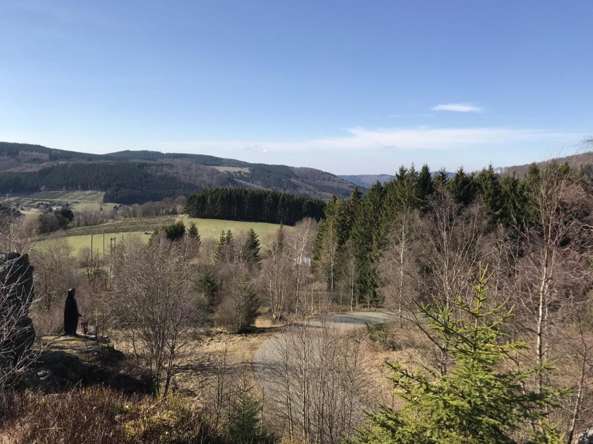 Appartement Familie Willems Winterberg 3 Екстер'єр фото